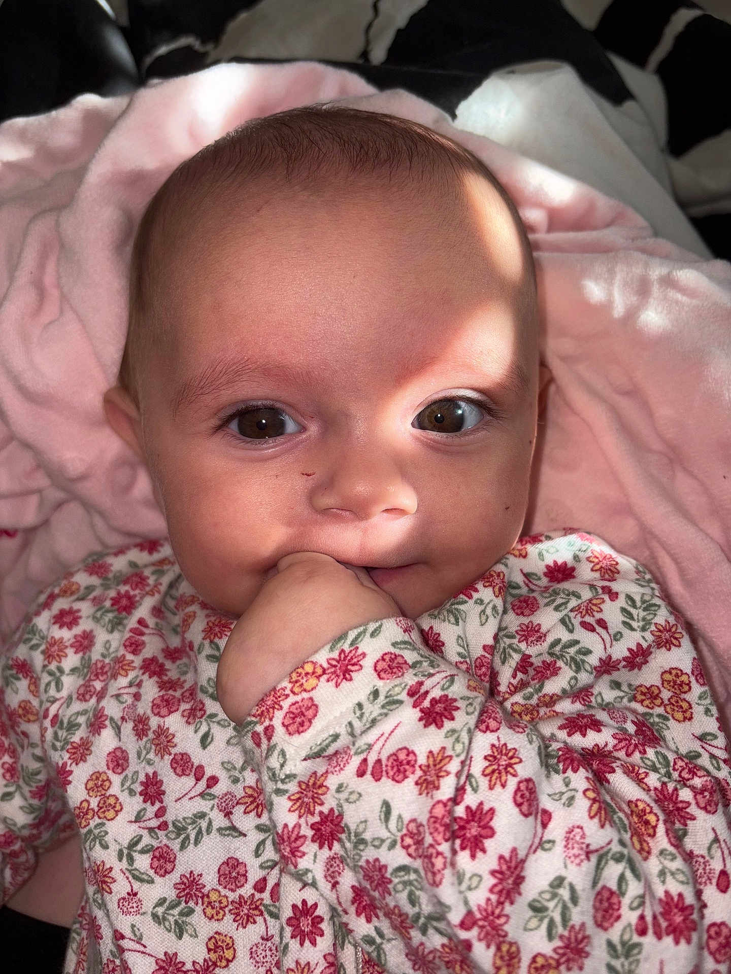 Mélina participe au concours pour gagner de l'argent avec cette photo : baby, infant, face, hand, eyes, onesie, floral_pattern, blanket, pink, skin, closeup, portrait, cute, child, newborn, sitting, indoors, soft_light, expression, young