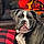 Jax