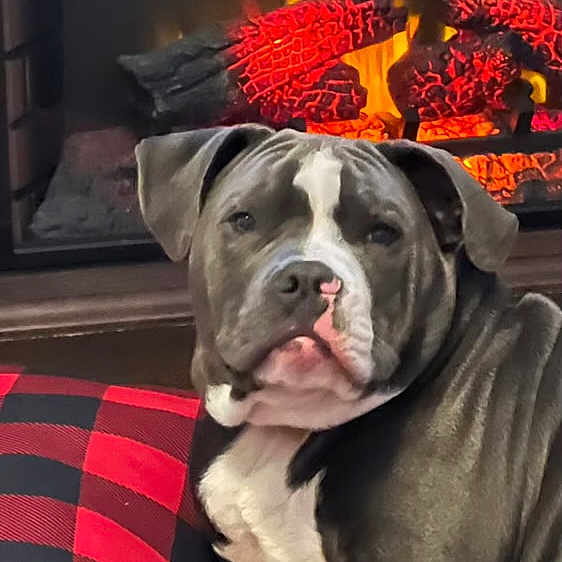 Jax