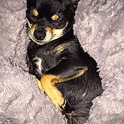 Ivanna a rejoint le concours — aidez-le/la à gagner de superbes lots !