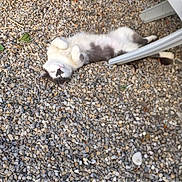 Ioshie a rejoint le concours — aidez-le/la à gagner de superbes lots !