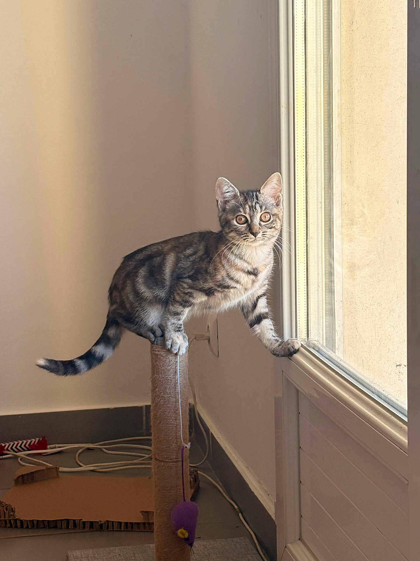 Nalla