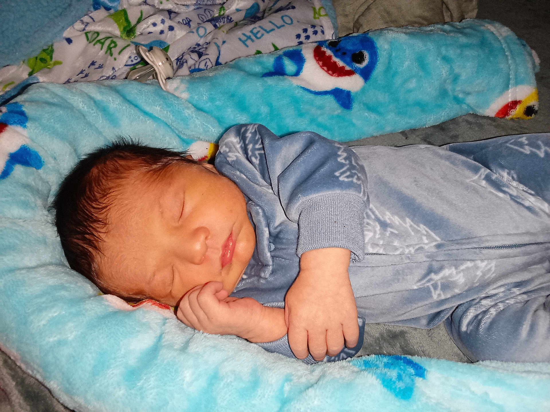 Michael is registered to the contest to win money with this photo: newborn, baby, sleeping, pajamas, blue, infant, cozy, soft, blanket, baby_nest, shark_pattern, hand, face, peaceful, indoors, child, cute, resting, toddler, closeup