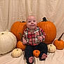 baby, infant, child, pumpkin, white_pumpkin, orange_pumpkin, small_pumpkin, plaid_shirt, smile, sitting, portrait, fall_decor, autumn, holiday_photo, studio_backdrop, fabric, bare_feet, cute, seasonal, props