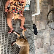 Giovanni is registered to the contest to win money with this photo: animal, baby, casual, child, collar, cute, dog, flip_flop, furniture, infant, onesie, outdoor, patio, person, pet, pillow, relaxation, small_dog, textile, tile_floor