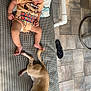 baby, child, dog, pet, onesie, textile, pillow, outdoor, patio, tile_floor, flip_flop, animal, furniture, collar, relaxation, cute, small_dog, infant, person, casual