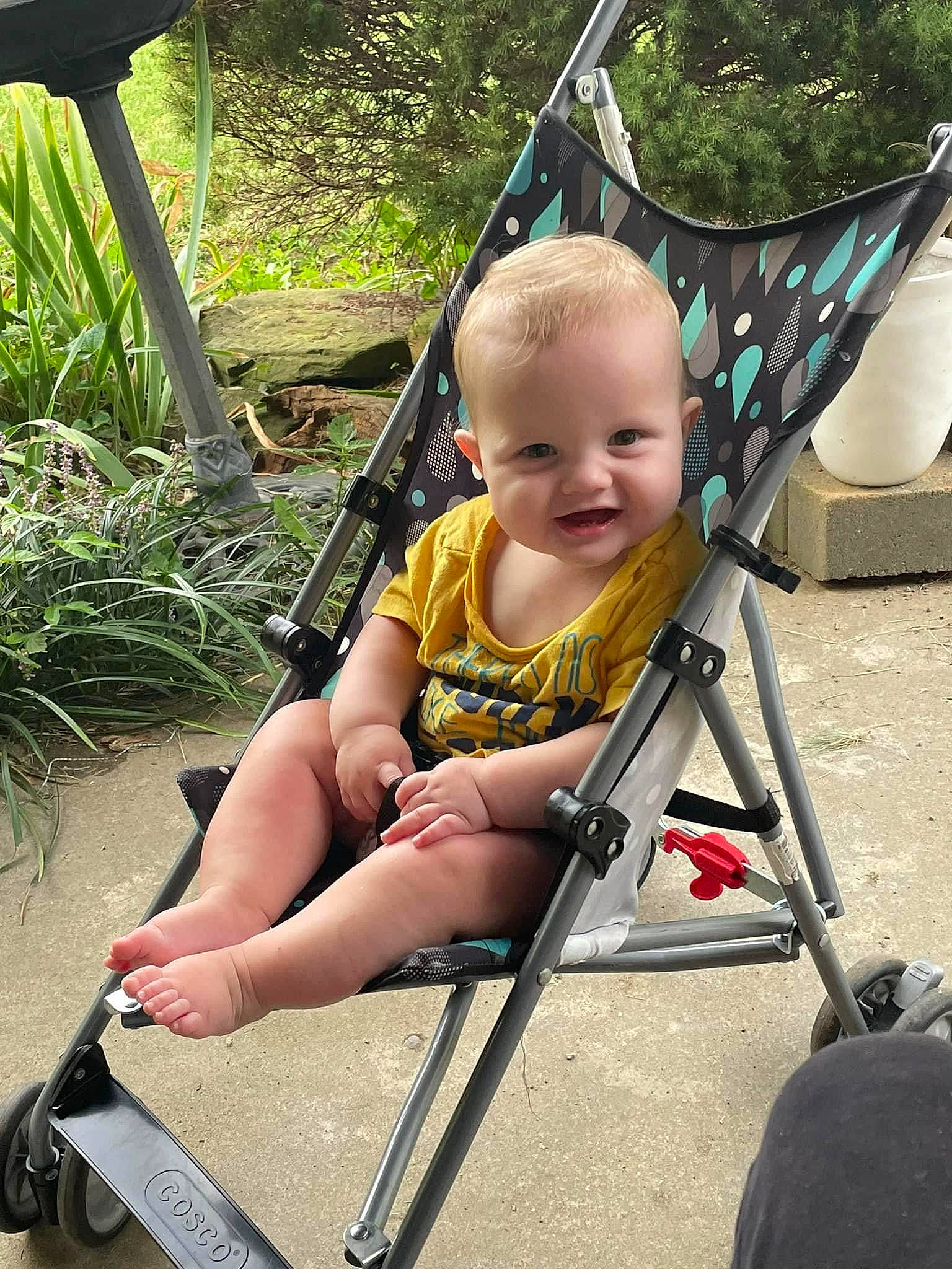 Benjamin joined the competition — help win amazing prizes! baby, baby_carriage, chair, child, comfort, facial_expression, fun, grass, happy, lap, leisure, person, photograph, plant, sitting, skin, smile, snapshot, summer, toddler
