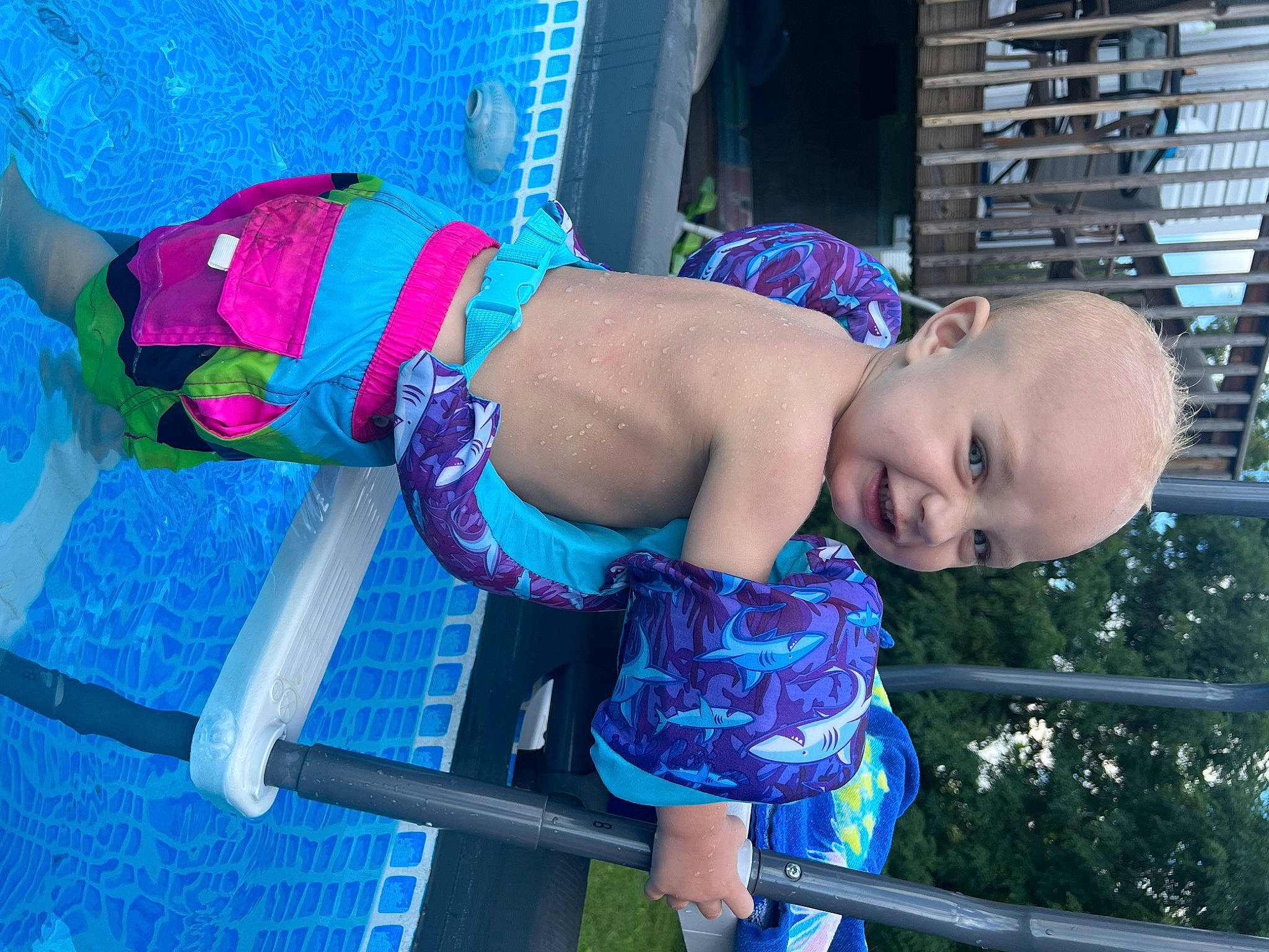 Grayson is registered to the contest to win money with this photo: arm, blue, chest, child, city, electric_blue, fun, happy, leg, leisure, magenta, outdoor_play_equipment, person, pink, purple, recreation, sitting, toddler, tree, vacation