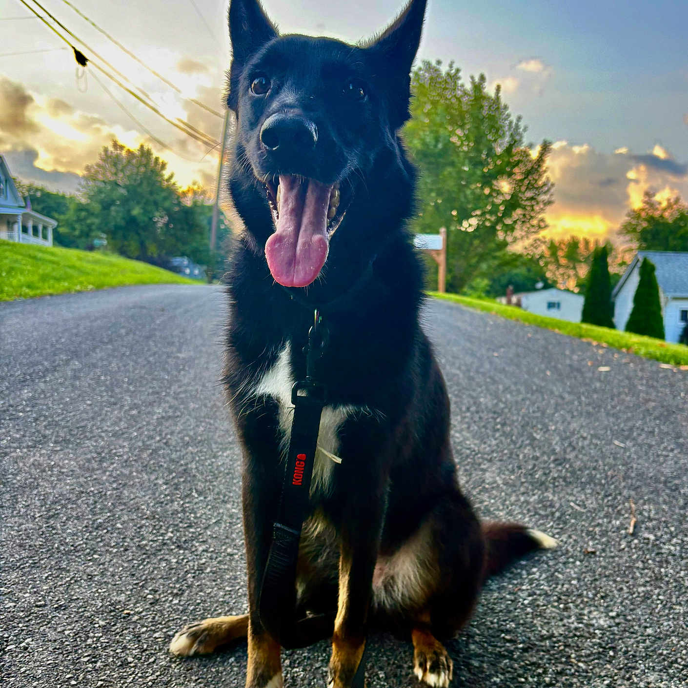 Bonnie