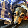 Mickey is registered to the contest to win money with this photo: