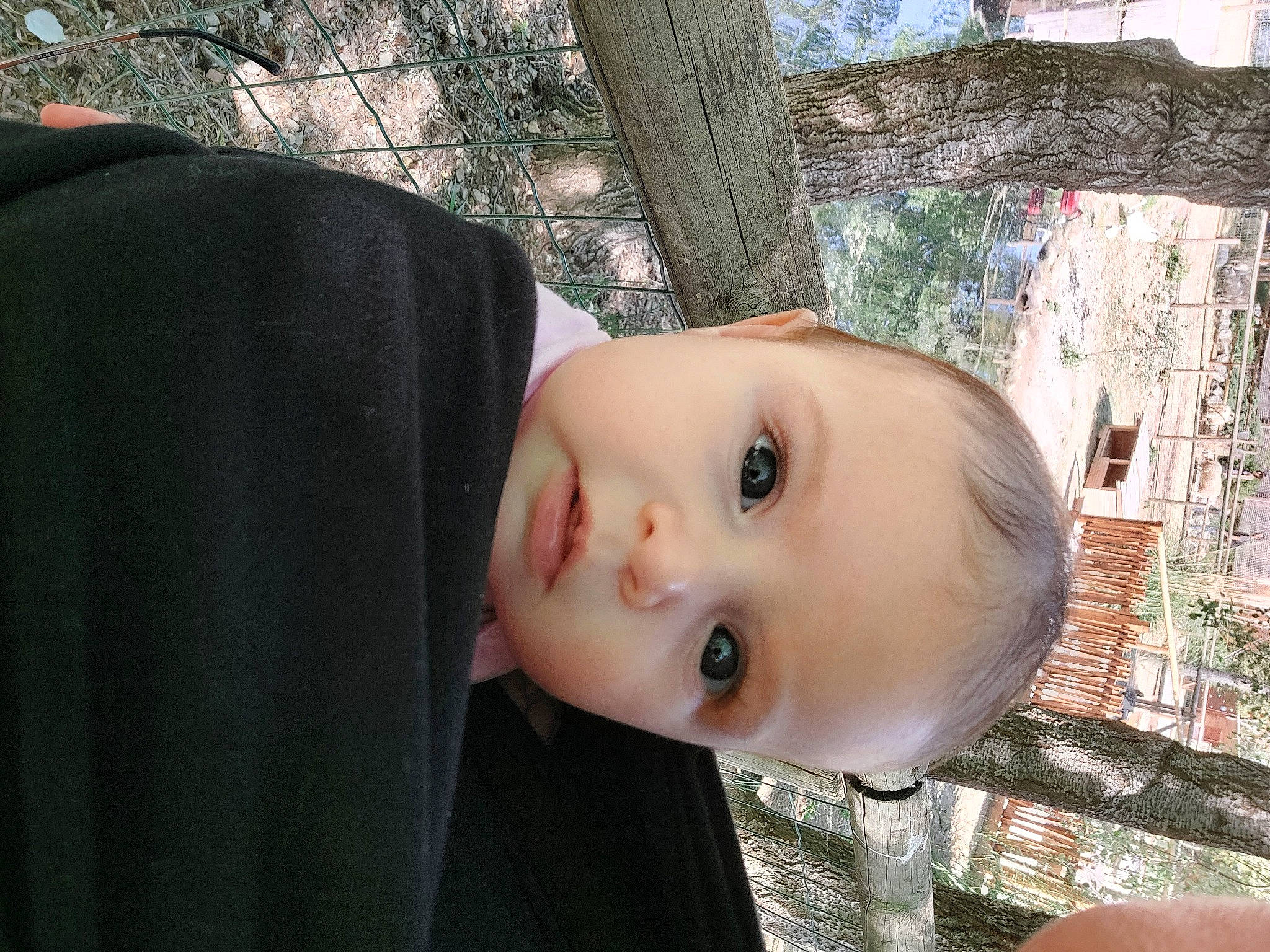 Angel a rejoint le concours — aidez-le/la à gagner de superbes lots ! baby, child, door, eyelash, grass, house, person, plant, toddler, tree, trunk, twig, window, wood