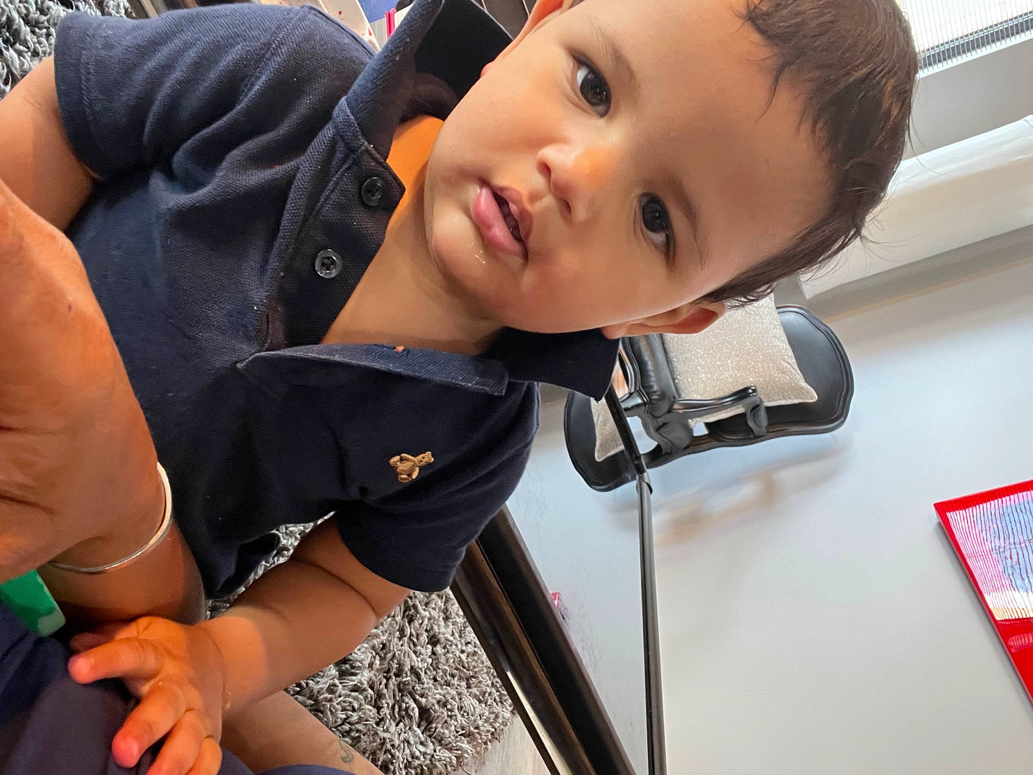 Sinatra joined the competition — help win amazing prizes! auto_part, baby_products, cameras_optics, child, digital_camera, elbow, fun, happy, nose, person, personal_protective_equipment, photography, portrait_photography, skin, smile, strap, t_shirt, toddler, travel, vacation