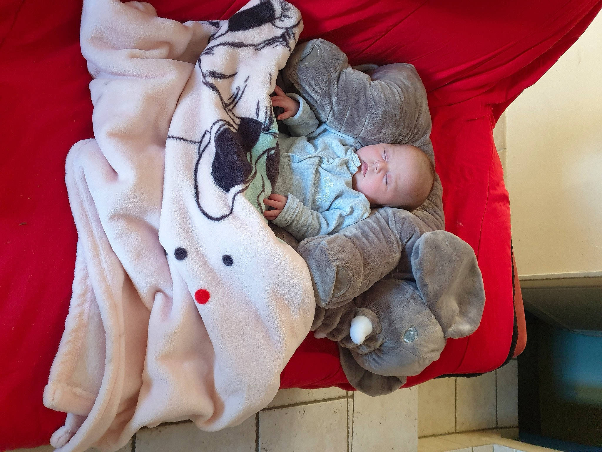 Selina participe au concours pour gagner de l'argent avec cette photo : child, person