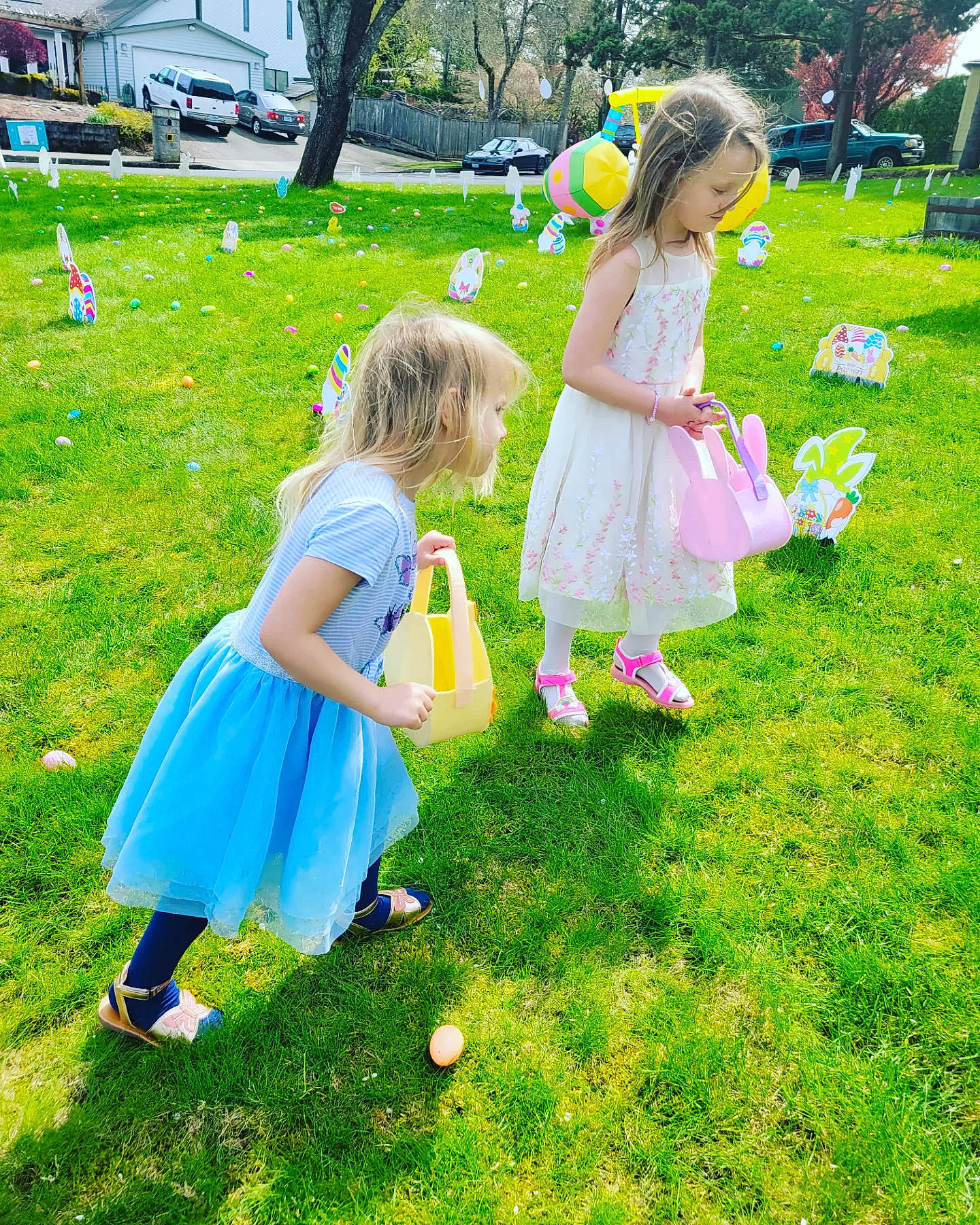 Scarlett joined the competition — help win amazing prizes! child, event, fun, grass, grass_family, grassland, green, happy, lawn, leaf, leisure, meadow, people_in_nature, person, pink, plant, recreation, summer, toddler, tree