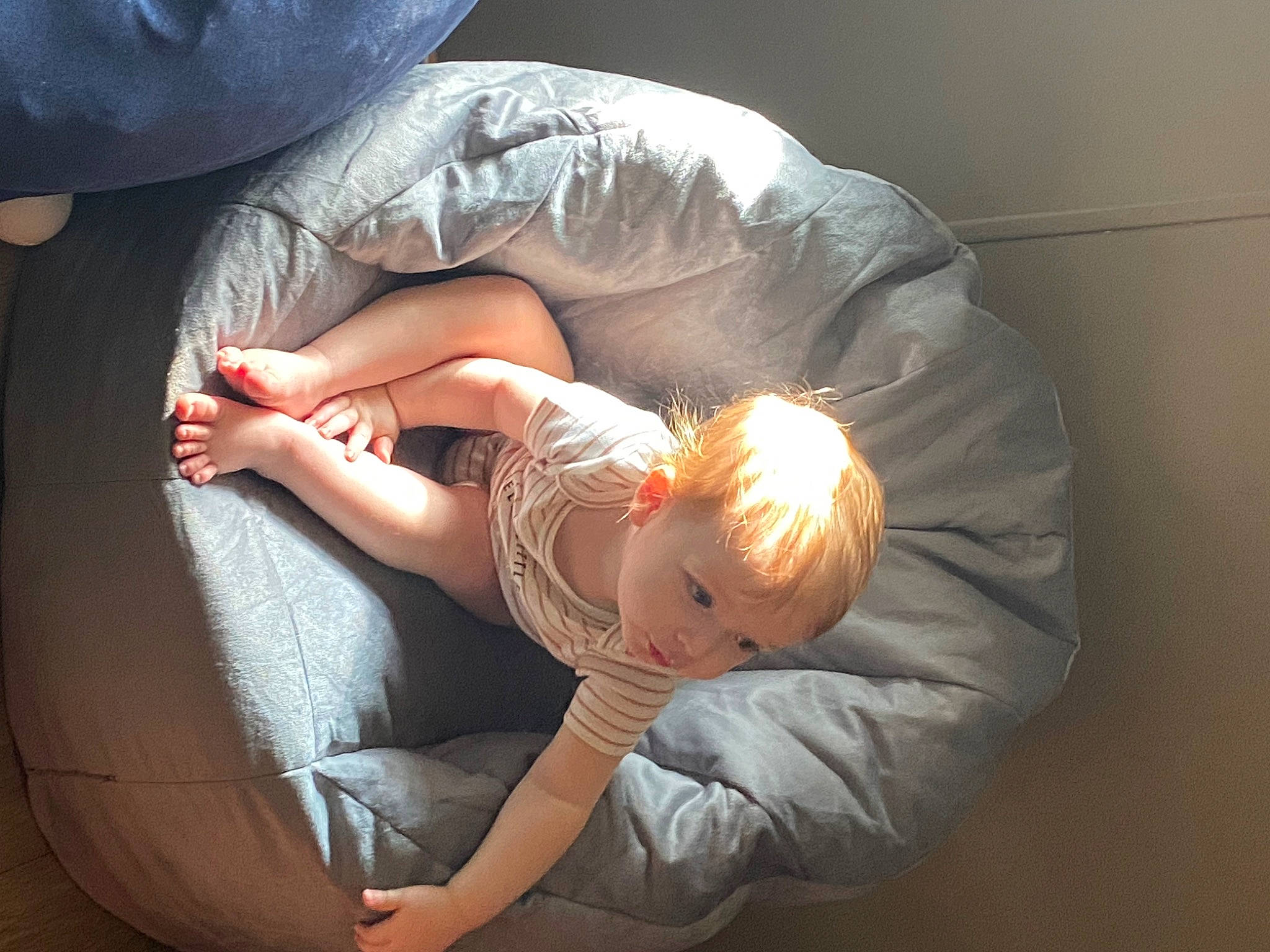 Ronin joined the competition — help win amazing prizes! baby, baseball_cap, child, comfort, elbow, flash_photography, foot, fun, gesture, hat, human_body, human_leg, knee, lap, leg, person, sitting, thigh, toddler, tree