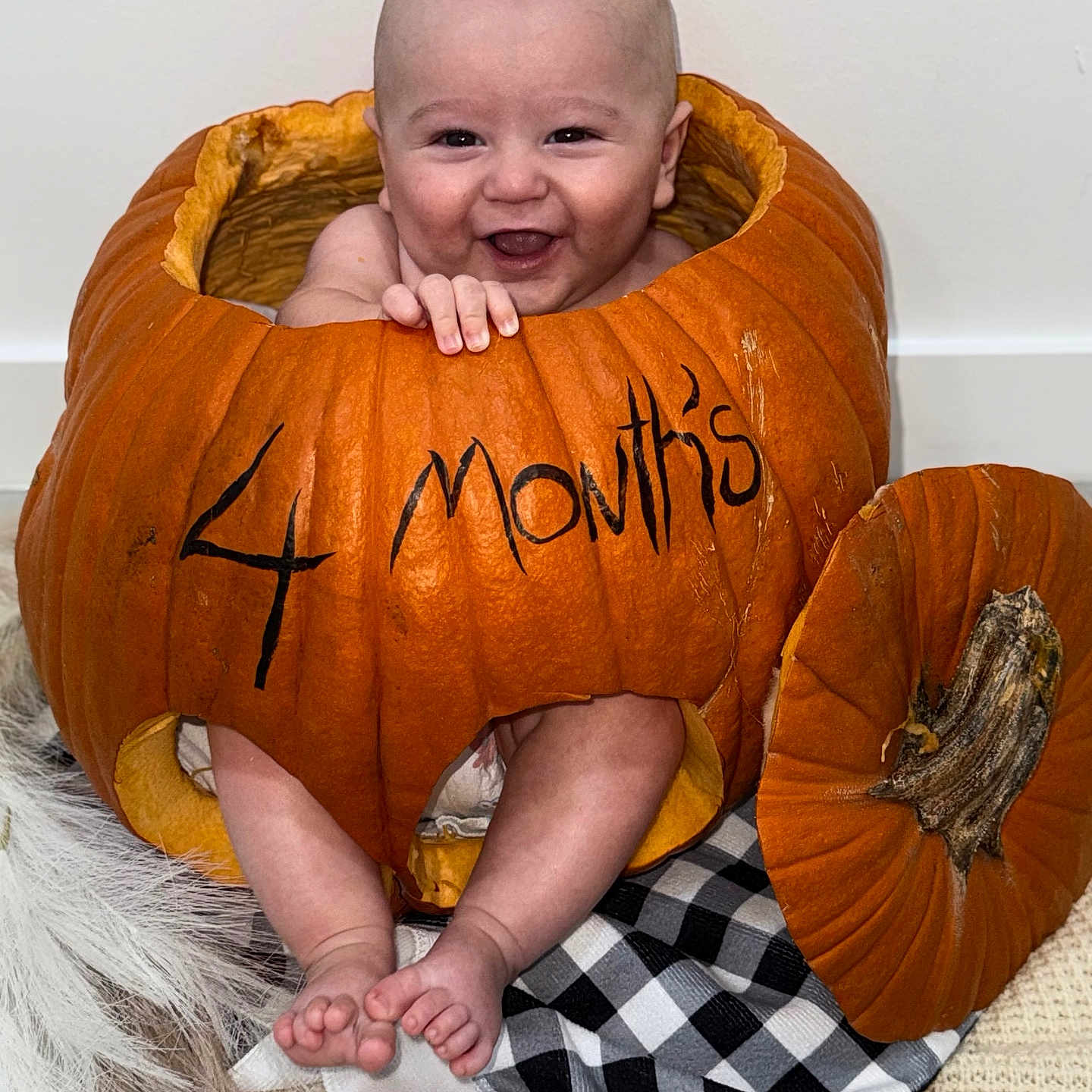 Brandon is registered to the contest to win money with this photo: baby, bodypart, bread, clothing, costume, face, finger, food, hand, head, person, photography, plant, portrait, pottedplant, produce, pumpkin, sitting, squash, vegetable