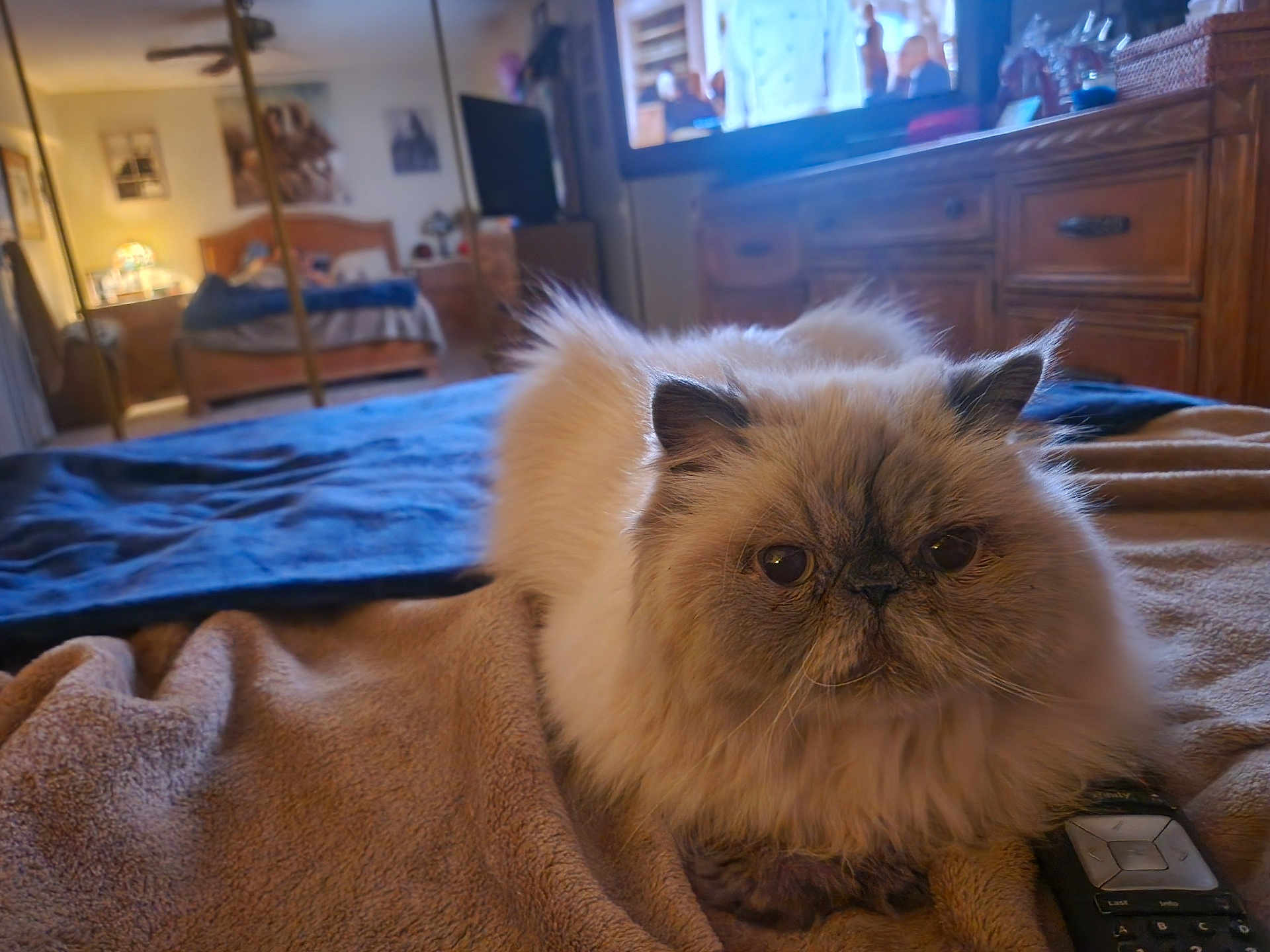 Bubba