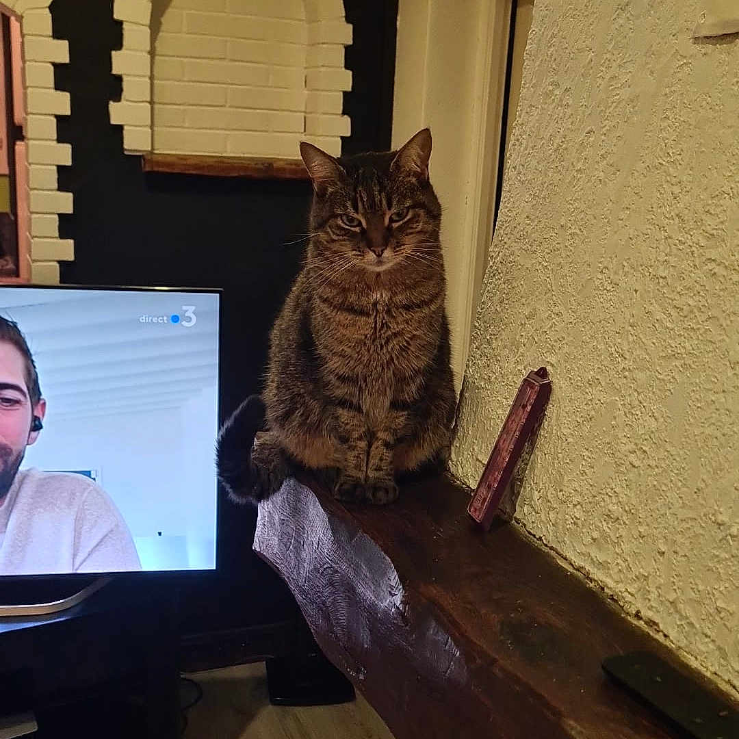 Lilou