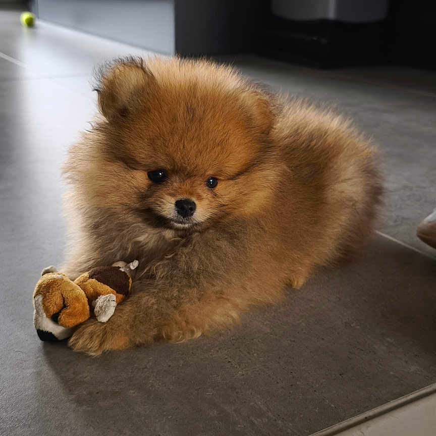 Marley
