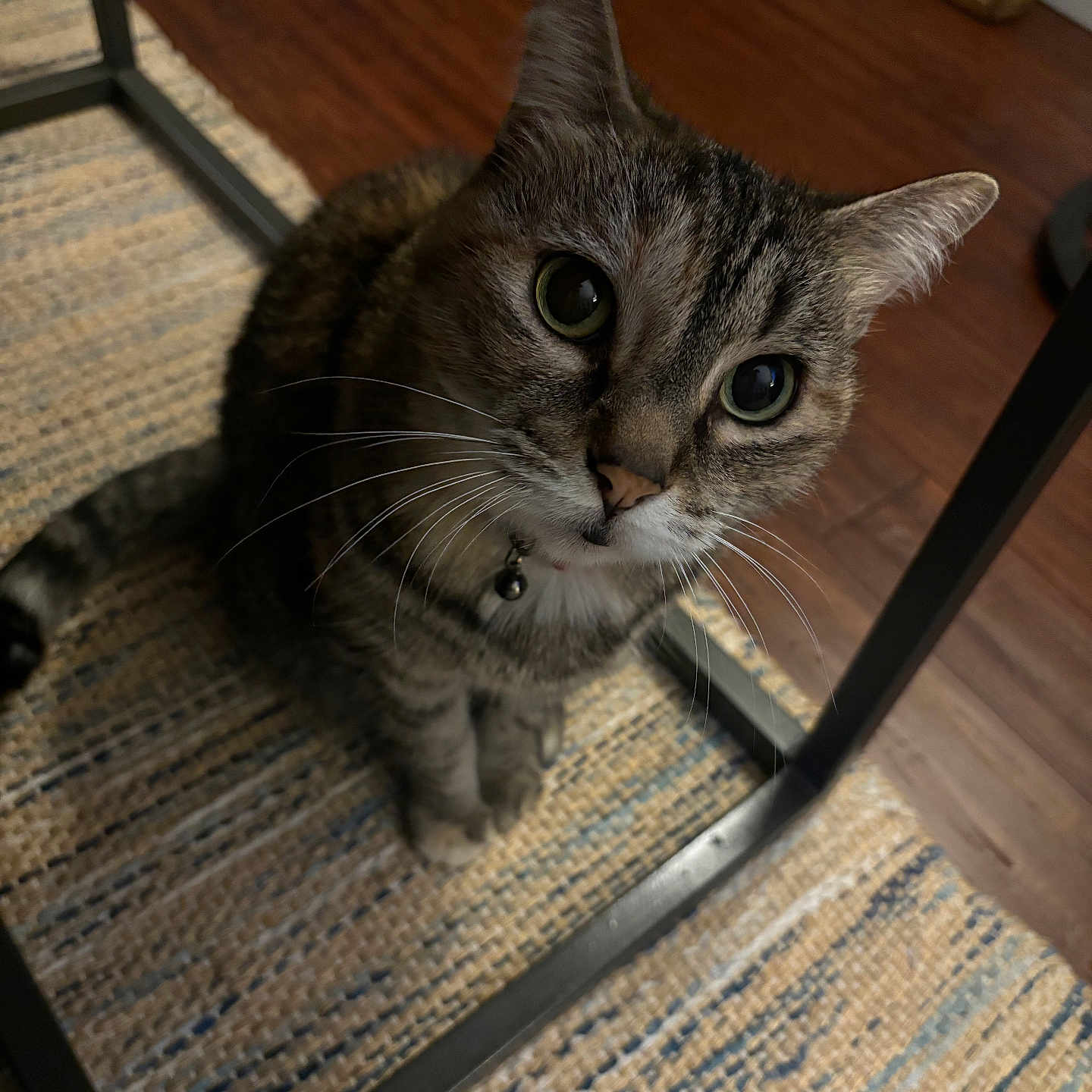 Mia