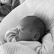 Louis participe au concours pour gagner de l'argent avec cette photo : baby, newborn, sleeping, blanket, soft, plush_toy, monochrome, portrait, infant, peaceful, face, head, clothing, cushion, closeup, indoors, rest, cute, child, toddler