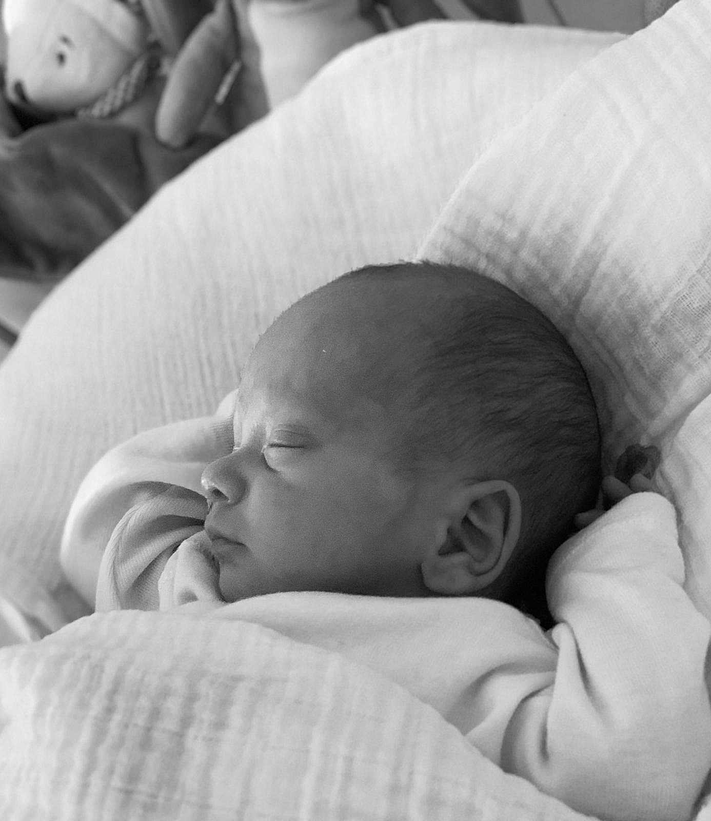 Louis participe au concours pour gagner de l'argent avec cette photo : baby, newborn, sleeping, blanket, soft, plush_toy, monochrome, portrait, infant, peaceful, face, head, clothing, cushion, closeup, indoors, rest, cute, child, toddler