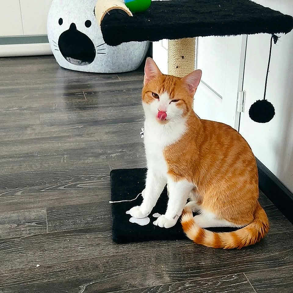 Caramel