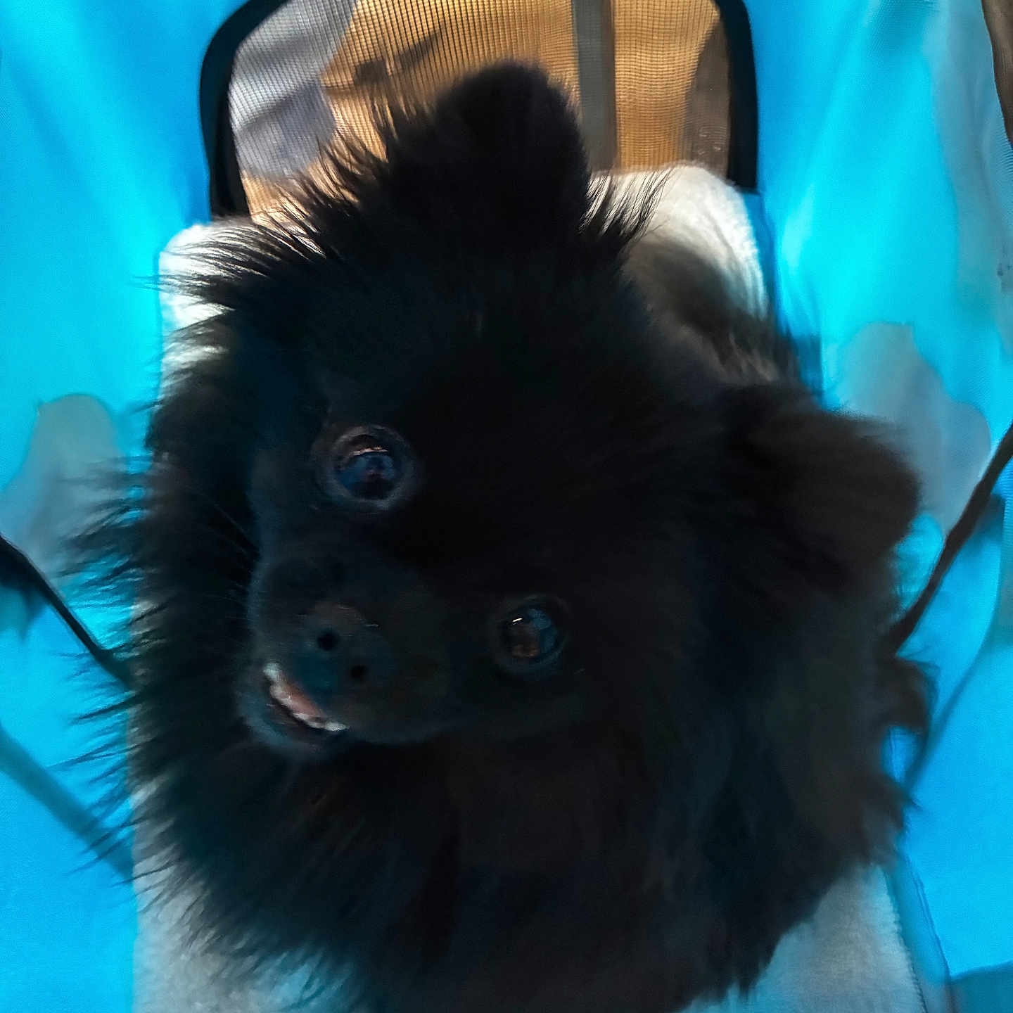 Vader