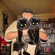 Nellie And Cotton joined the competition — help win amazing prizes! adult, animal, beard, black_cat, bookshelf, cap, casual_clothing, cat, cds, collection, face, furniture, holding, indoor, man, pet, portrait, room, shelf, two_cats