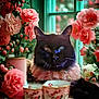 cat, black_cat, flowers, pink_flowers, teacups, vintage, garden, window, decorative, indoor, still_life, pet, whiskers, portrait, floral, table, closeup, soft_focus, ornate, relaxing
