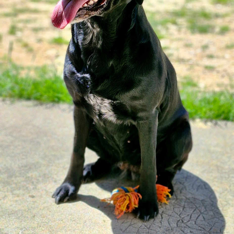 Nina