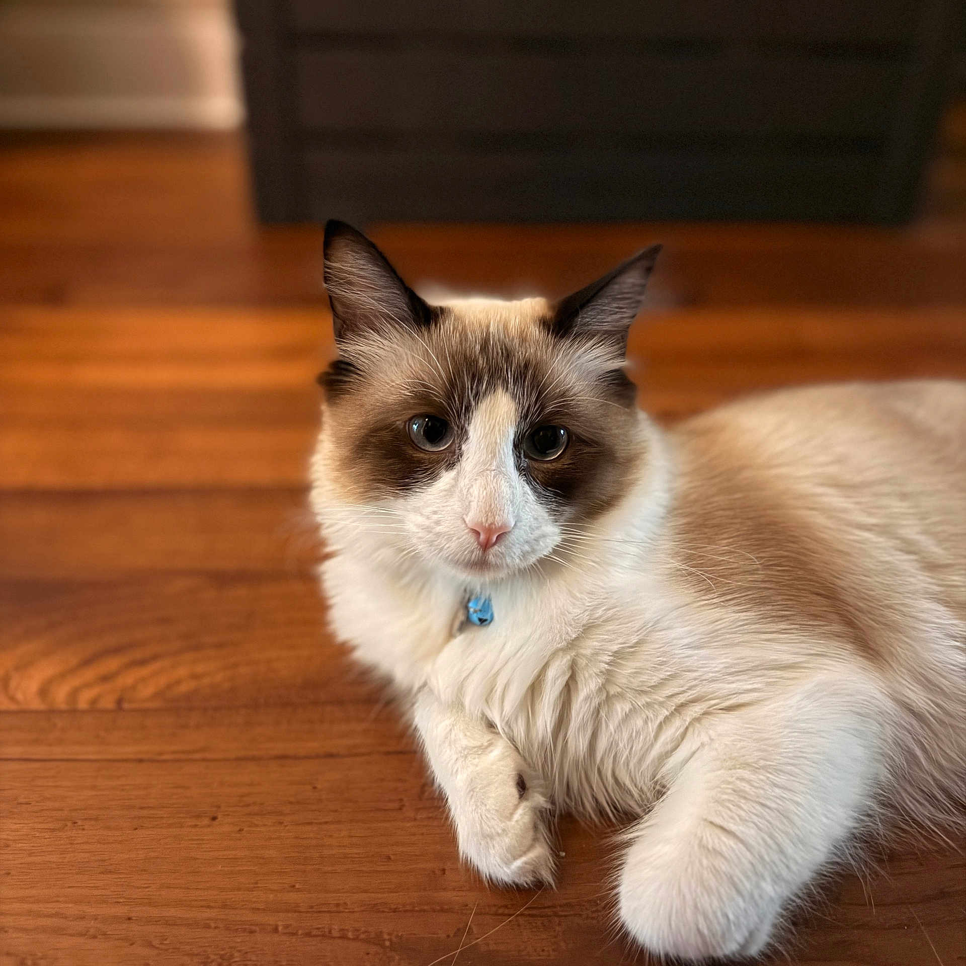 Milo