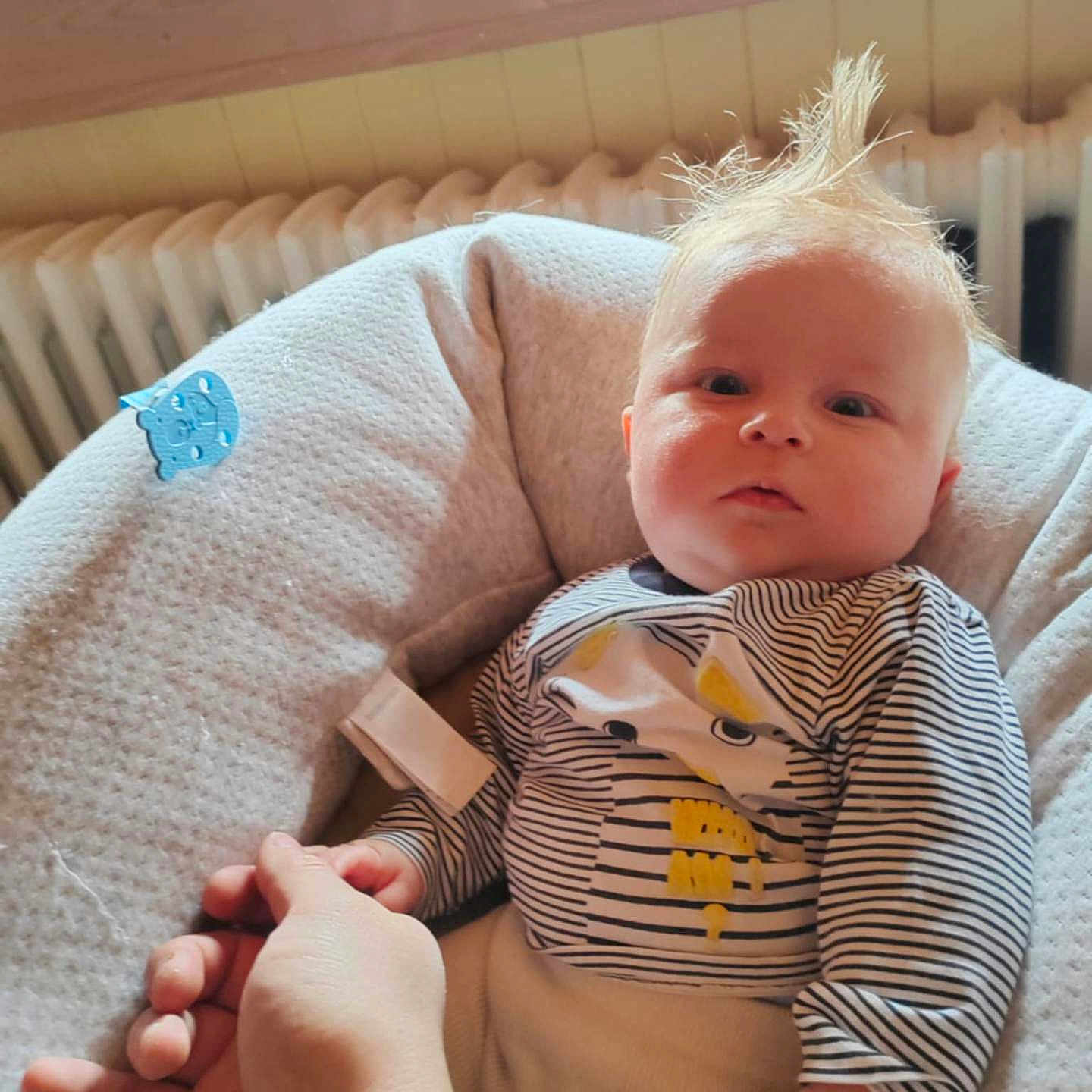Lenny a rejoint le concours — aidez-le/la à gagner de superbes lots ! baby, beanbag, blanket, blonde, clothing, couch, cushion, face, furniture, hair, head, homedecor, infantbed, mohawkhairstyle, person, photography, portrait, sitting, sleeve, t_shirt