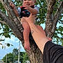 arm, baby, building, child, clothing, daytime, foot, greenery, hand, holding, leaf, leg, nature, outdoor, person, power_lines, sky, suburban, tattoo, tree