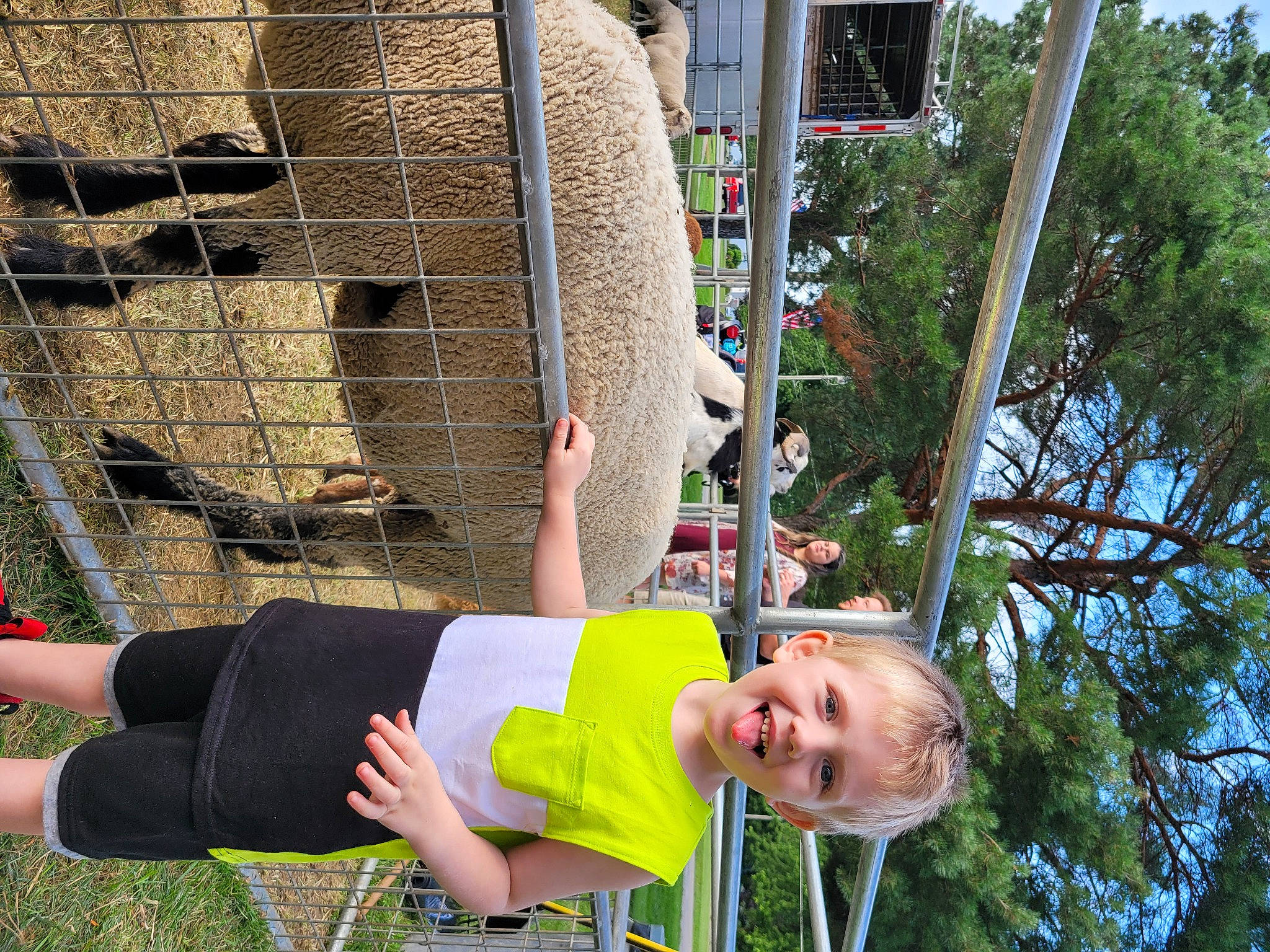 Dillon is registered to the contest to win money with this photo: fun, grass, happy, human_leg, knee, leisure, net, outdoor_play_equipment, people_in_nature, person, pole, recreation, rope, shorts, sky, smile, t_shirt, thigh, toddler, tree