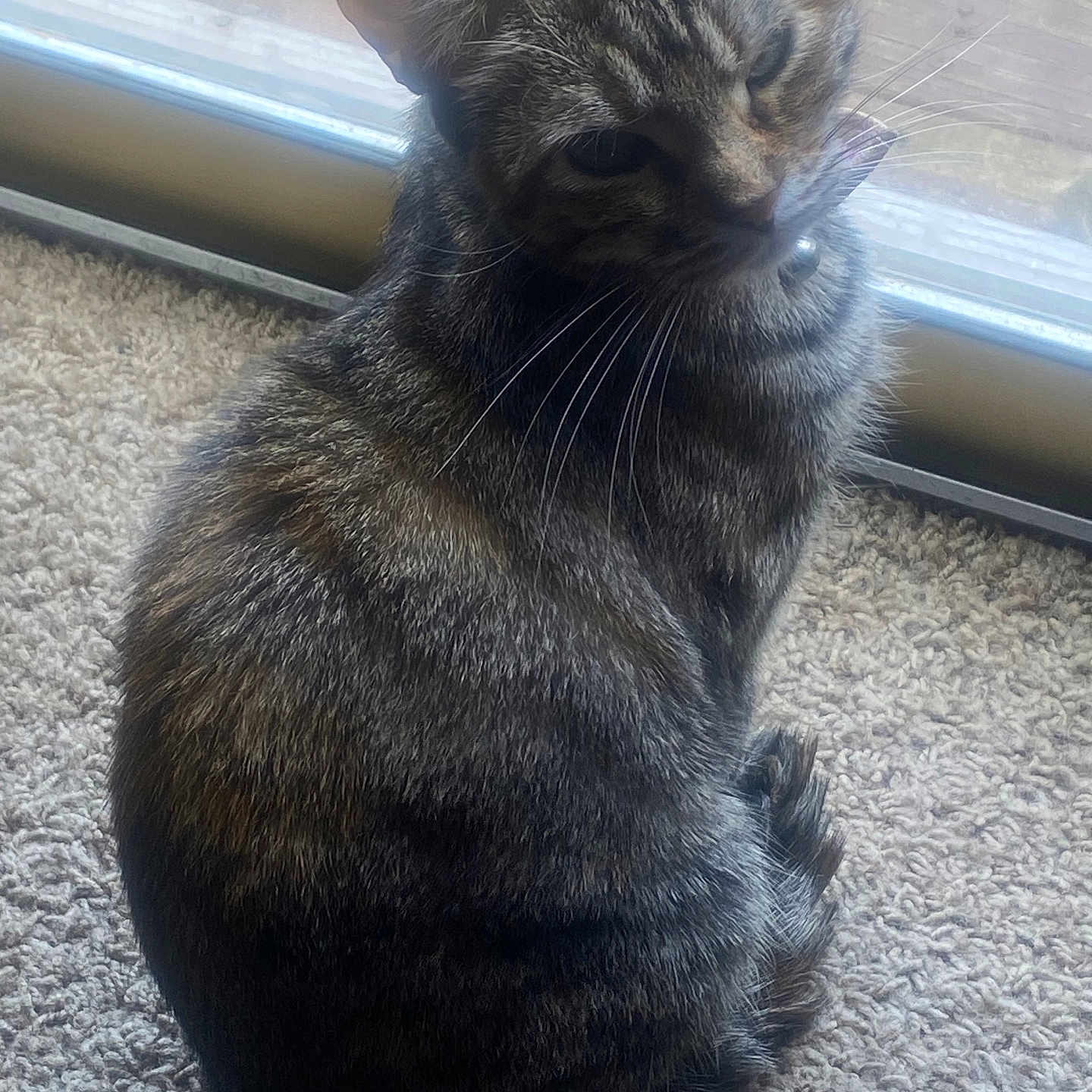 Tinkerbella