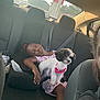 child, dog, car_interior, seat, seatbelt, sleeping, pet, lap, sunlight, window, backseat, clothing, pink, flower_collar, resting, young_girl, fur, curly_hair, casual, relaxation