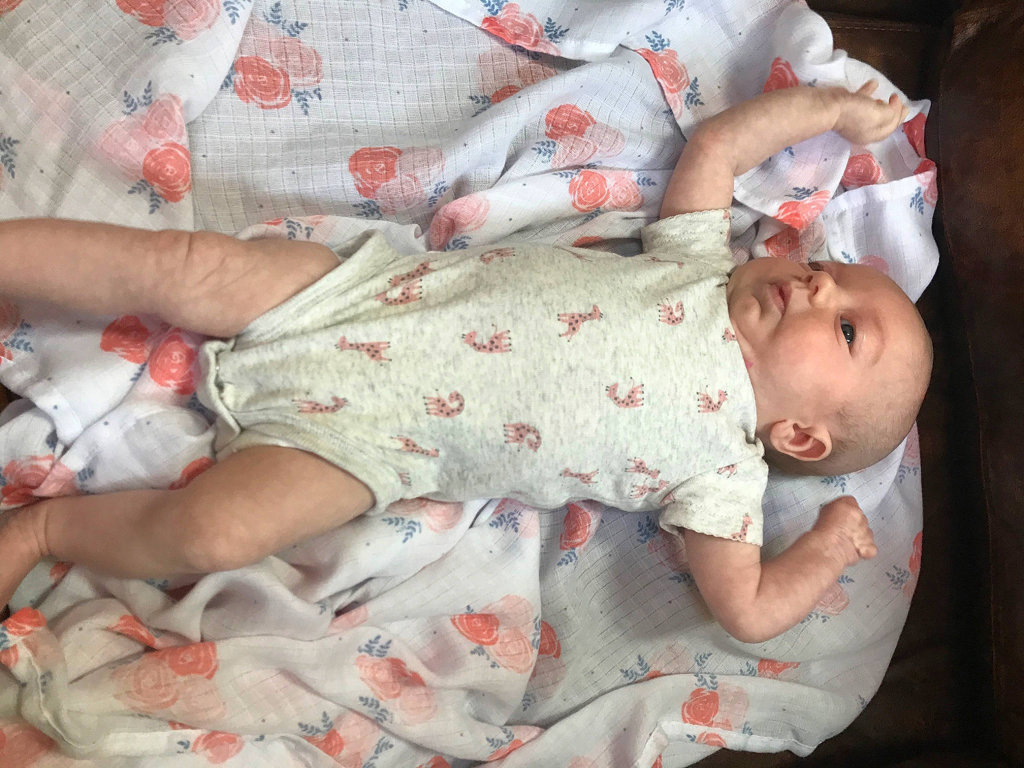 Lillyanna is registered to the contest to win money with this photo: baby, baby_products, baby_sleeping, bedtime, birth, child, childbirth, nap, person, product, sleep, toddler