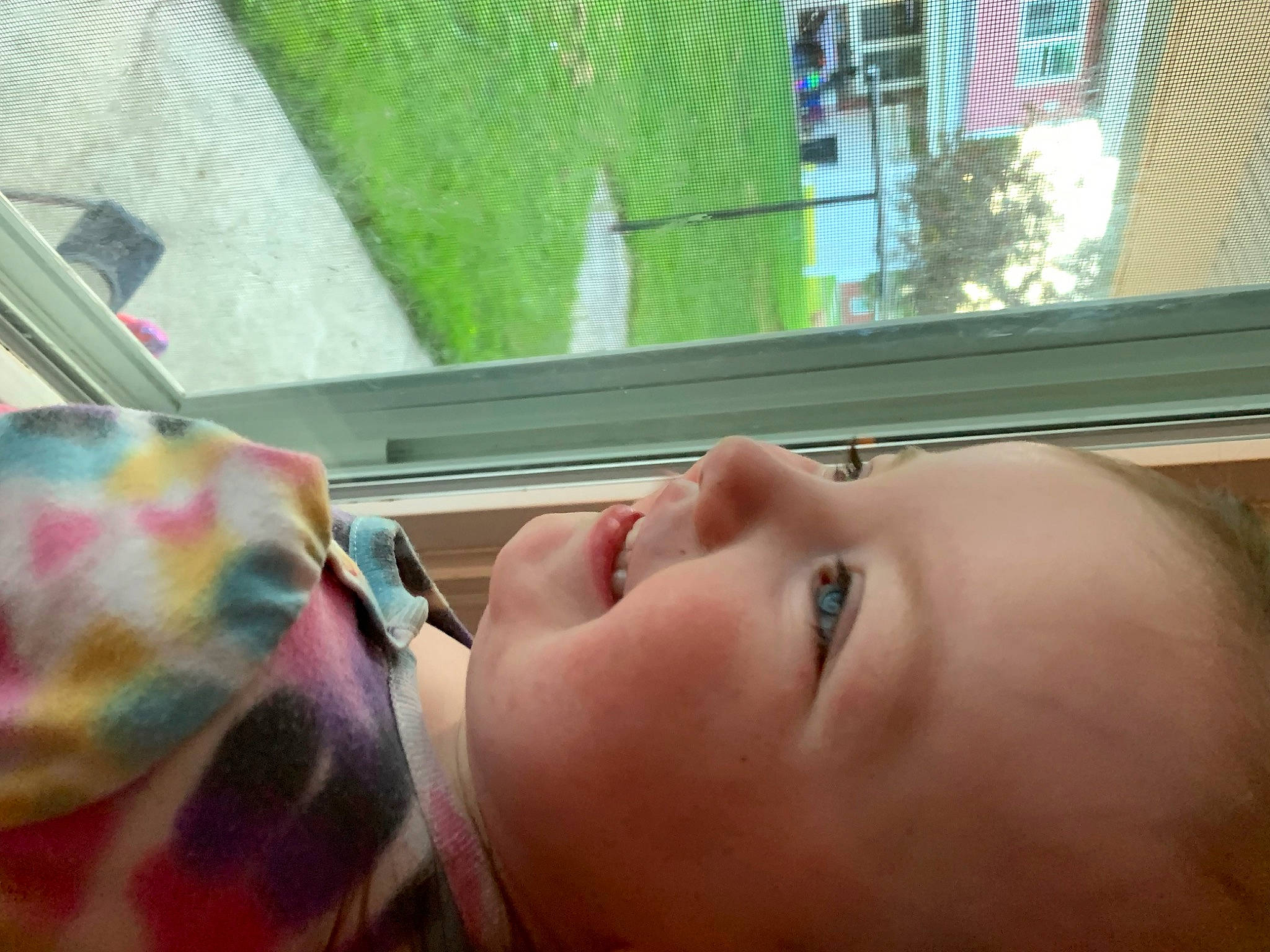 Lillyanna joined the competition — help win amazing prizes! baby, cheek, eye, eyebrow, eyelash, finger, grass, green, happy, leisure, lip, mouth, neck, nose, person, plant, skin, smile, toddler, tree