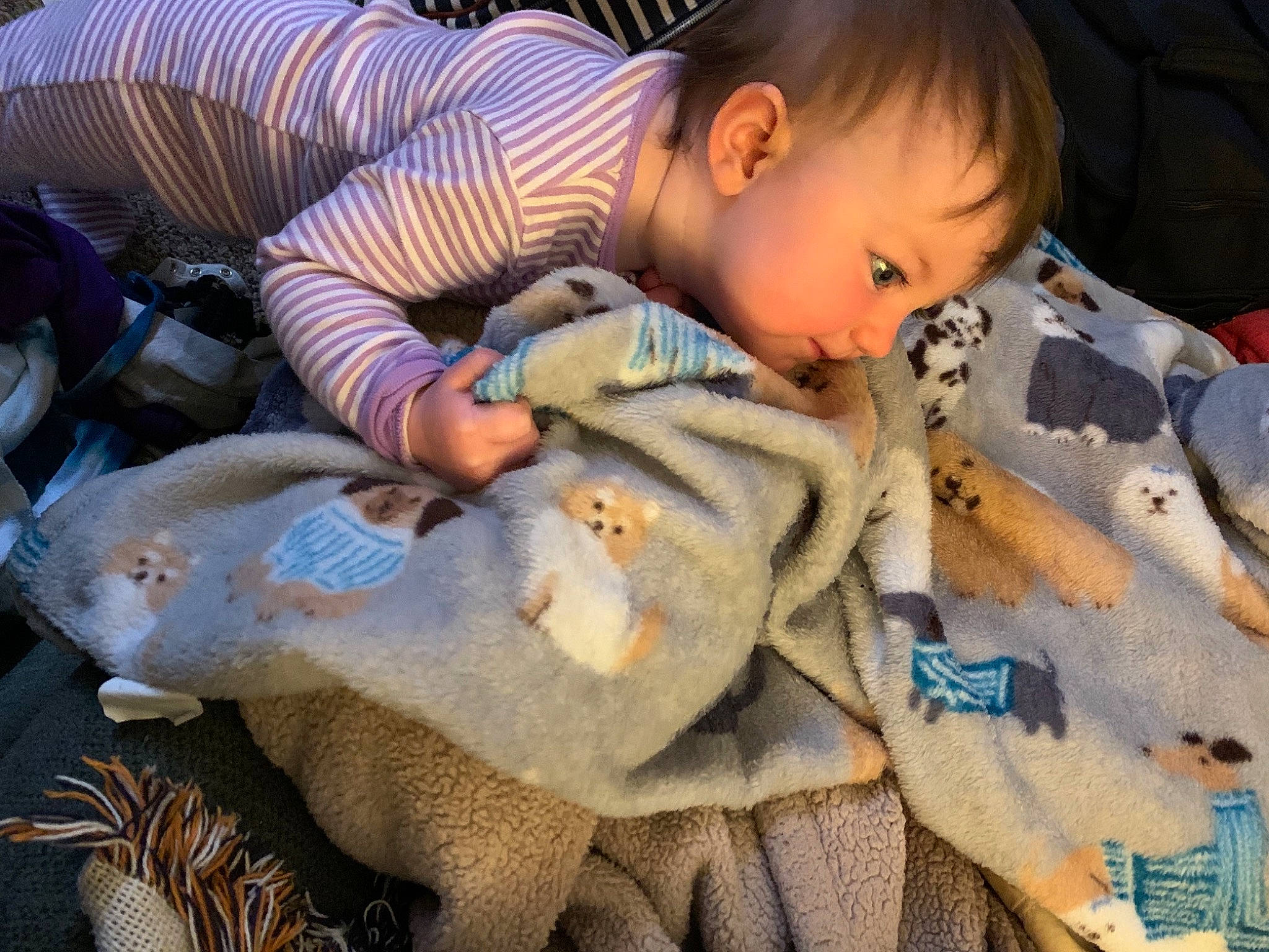 Lillyanna is registered to the contest to win money with this photo: baby, baby_products, baby_toddler_clothing, bedtime, child, comfort, face, fun, grass, happy, head, linens, mammal, nap, person, play, skin, toddler, tree, vertebrate