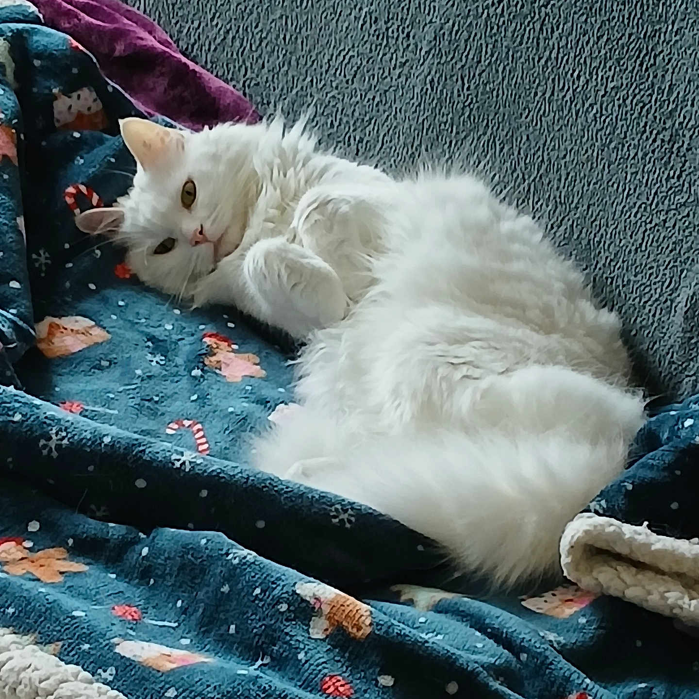 Neige
