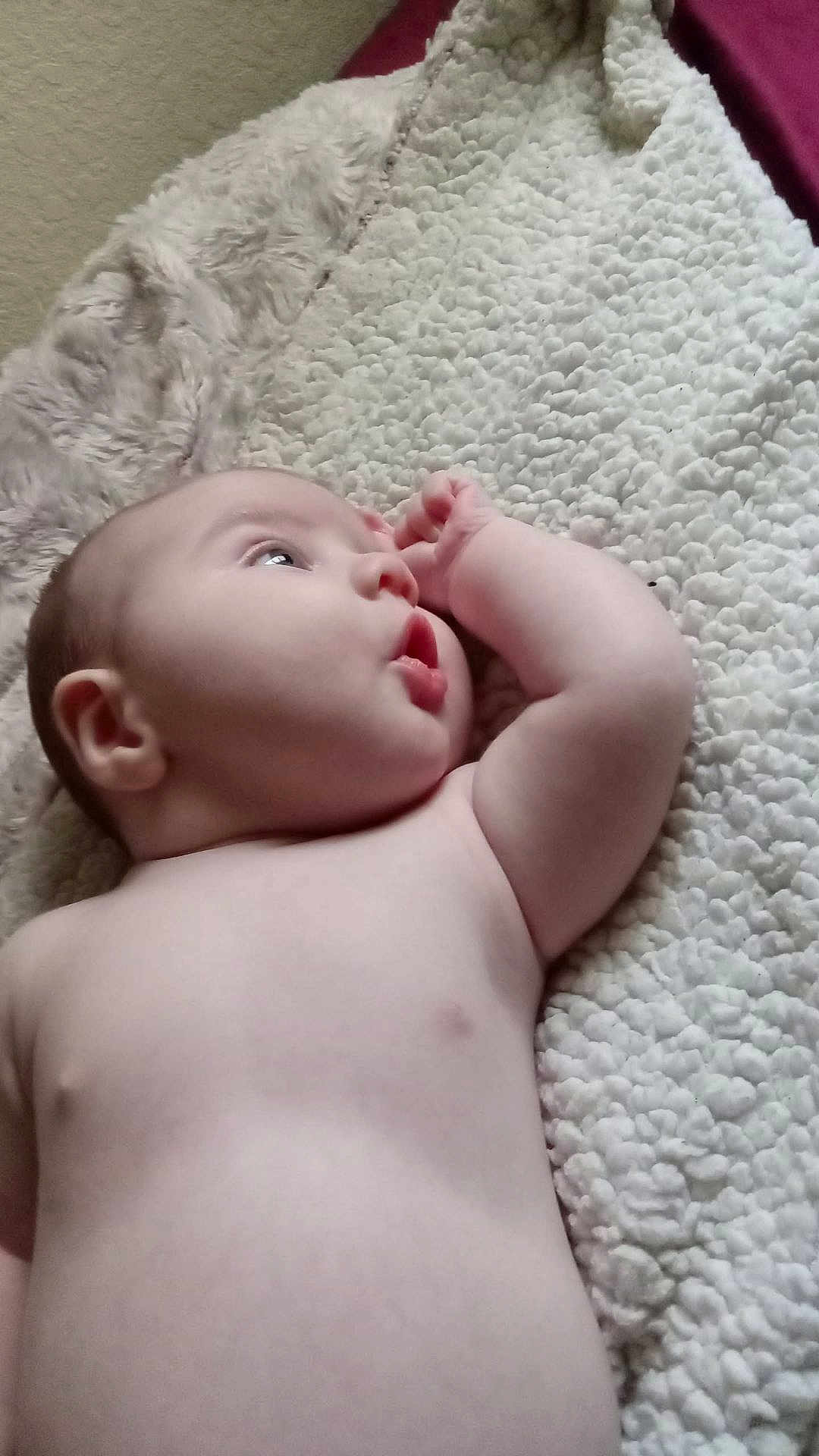 Paxton is registered to the contest to win money with this photo: baby, infant, skin, blanket, texture, soft, lying_down, curious, expression, face, arm, hand, indoors, closeup, child, newborn, resting, peaceful, portrait, natural_light