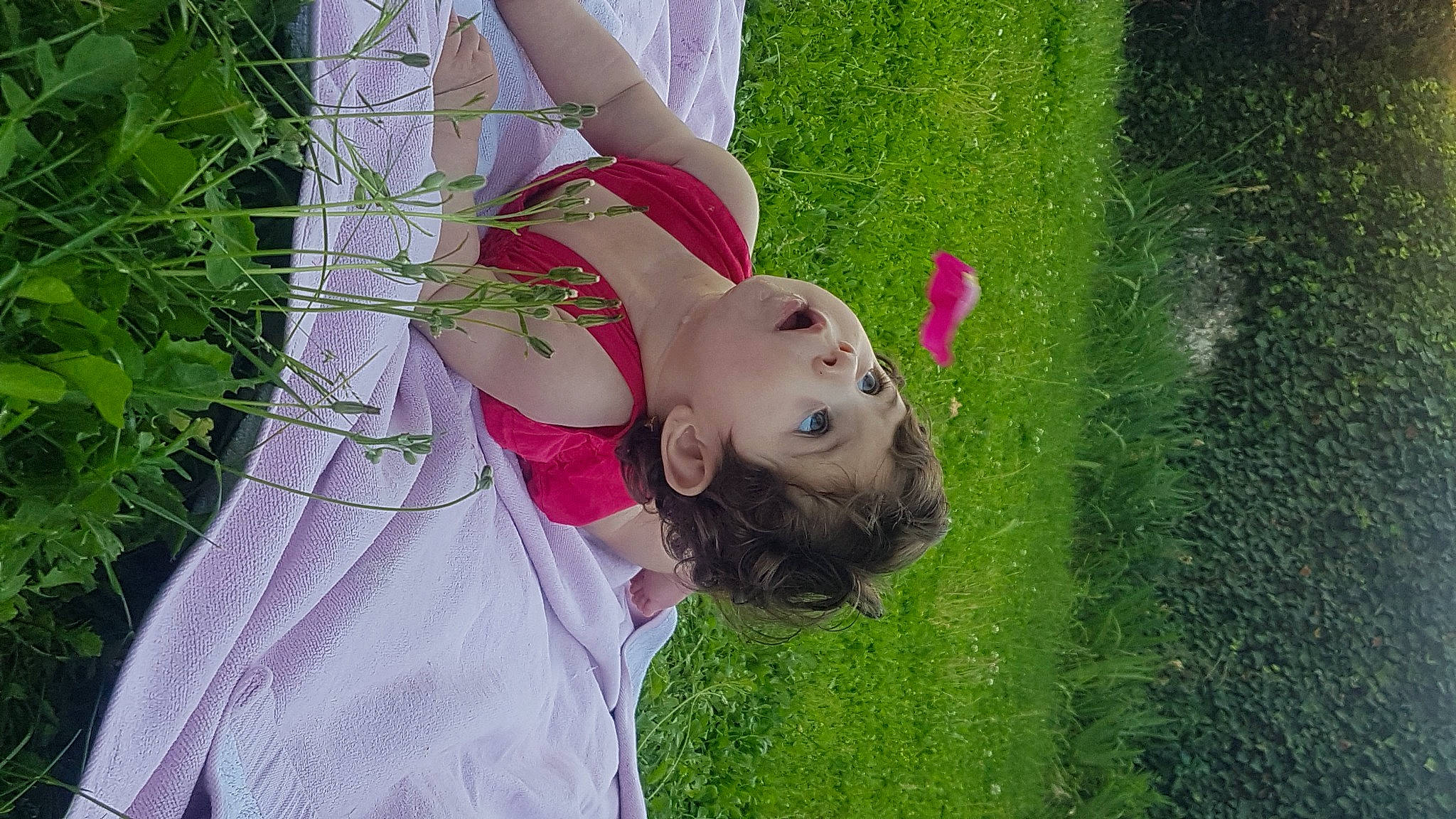 Eline a rejoint le concours — aidez-le/la à gagner de superbes lots ! botany, child, flowering_plant, fun, garden, grass, grassland, happy, lawn, leisure, lip, magenta, meadow, pattern, people_in_nature, person, petal, pink, plant, tree