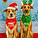 Ozzie And Harley
