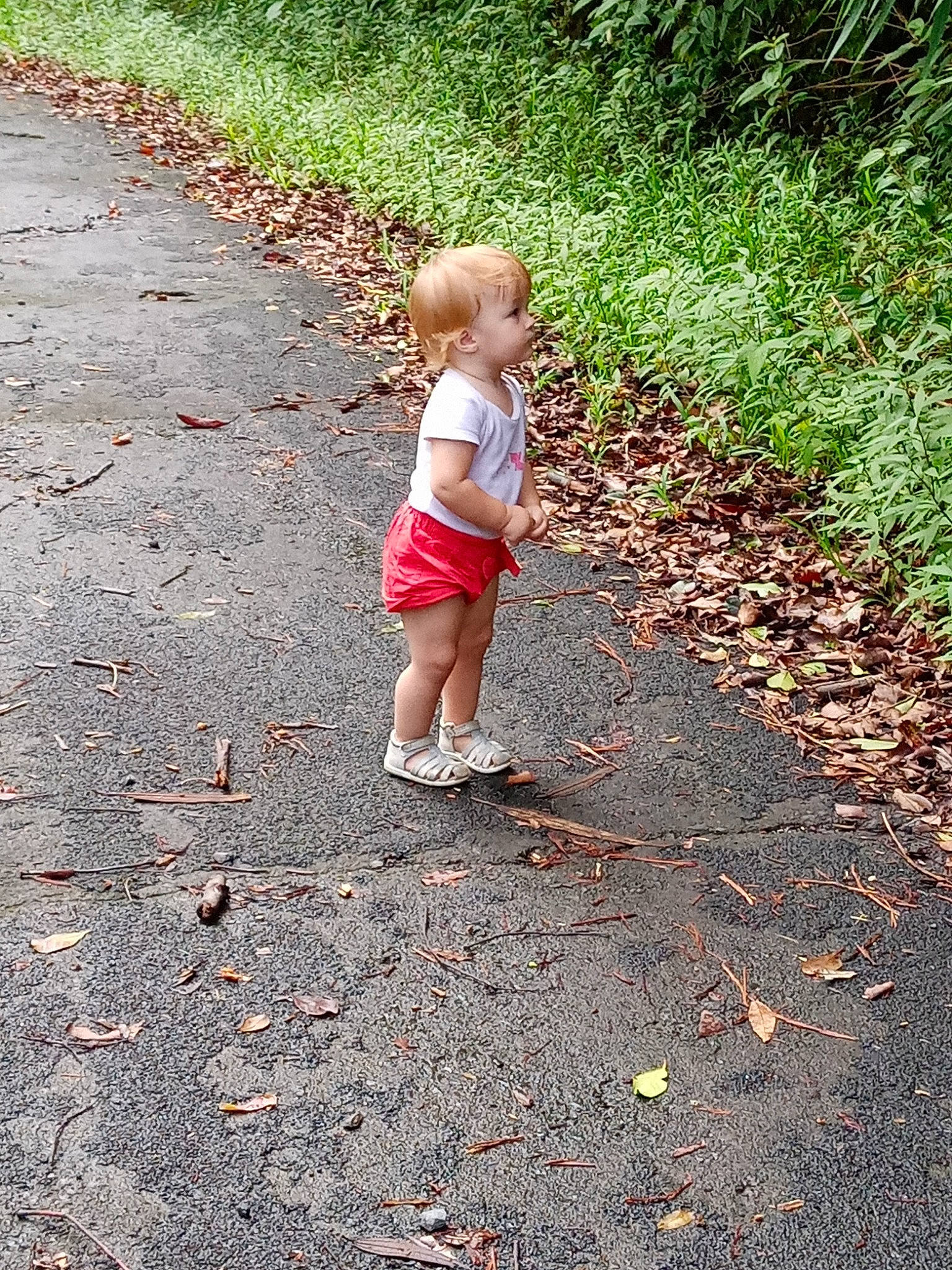 Julianna a rejoint le concours — aidez-le/la à gagner de superbes lots ! asphalt, baby, child, grass, human_body, human_leg, landscape, leaf, leg, leisure, people_in_nature, person, plant, recreation, road, road_surface, sidewalk, soil, toddler, tree