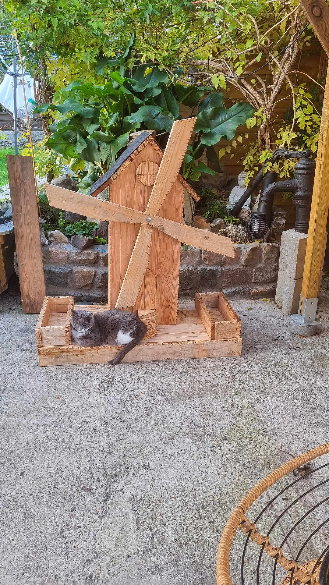 Bubule a rejoint le concours — aidez-le/la à gagner de superbes lots ! cat, wooden_windmill, garden, plants, stone_wall, outdoor, concrete_floor, rustic, greenery, wood, relaxing, pet, animal, feline, nature, shrubbery, decor, resting, peaceful, daylight