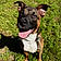 Bruno
