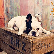Donna participe au concours pour gagner de l'argent avec cette photo :