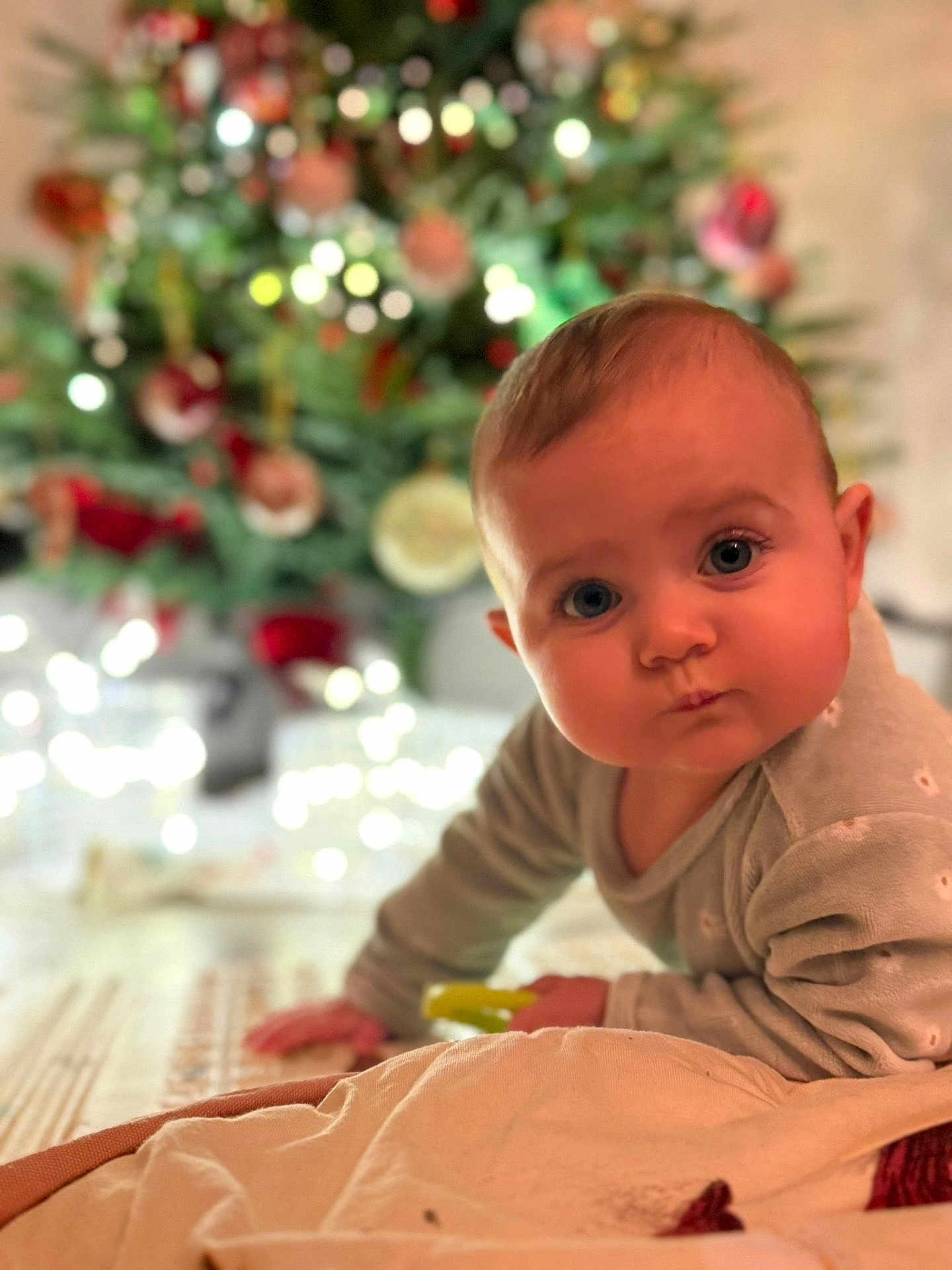 Leonie participe au concours pour gagner de l'argent avec cette photo : baby, child, crawling, blue_eyes, blanket, christmas_tree, holiday_decorations, soft_lighting, indoors, cute, face, person, festive, warm, cozy, focus, portrait, holiday, smiling, curious
