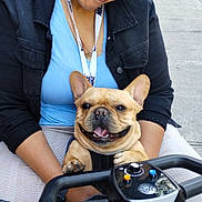 Obasi is registered to the contest to win money with this photo: woman, dog, french_bulldog, glasses, head_wrap, smile, outdoor, sidewalk, mobility_scooter, clothing, leash, urban, happy, pet, person, casual, daytime, street, hands, joy